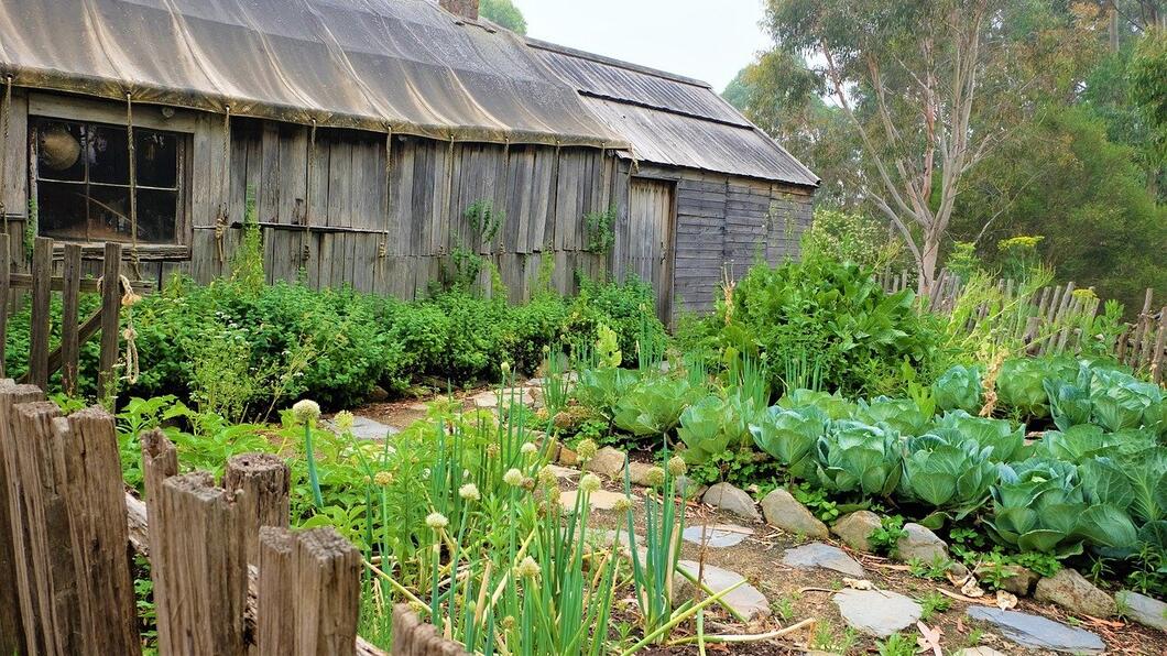 moestuin