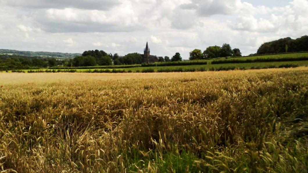 oostflank2.jpg
